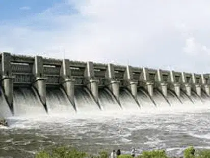 Panic Grows Across 11 States as Water Release from Lagdo Dam Begins
