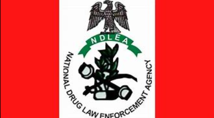 NDLEA Takes Down Notorious Drug Traffickers in Major Bust
