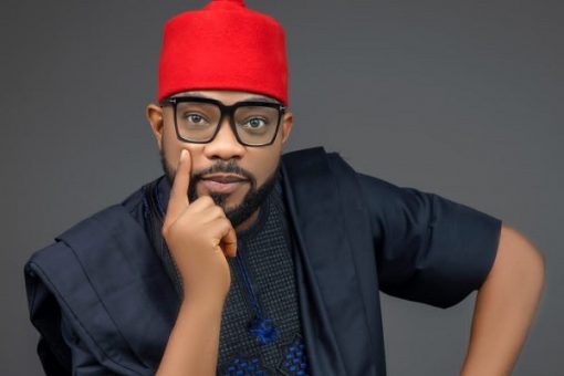 Rejected Bill on Six-Year Single Tenure for President and Governors to Be Reintroduced – Ugochinyere
