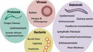 Nigeria Requires $19 Million to Combat Neglected Tropical Diseases, Says FG