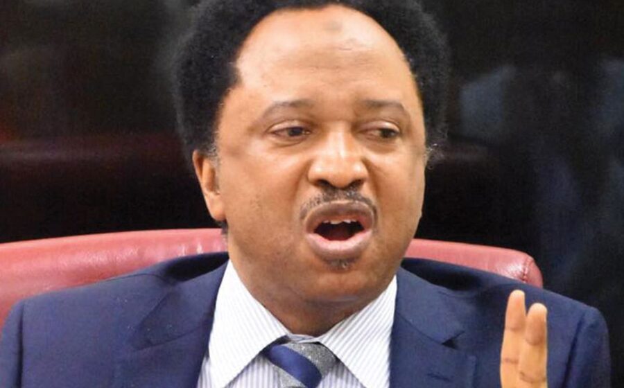 Shehu Sani Calls on Saudi Arabia to Prioritize National Grid Over Economic Reforms in Nigeria